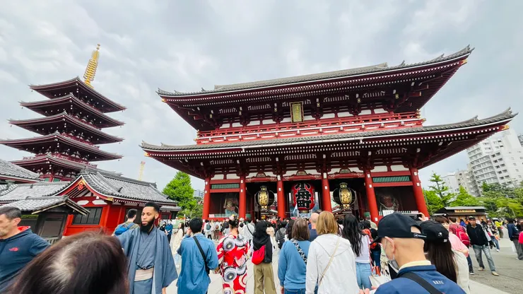 我自己覺得這樣同框滿漂亮。