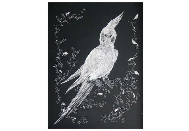 CC's愛鳥維多（2003-2006）｜針刻板畫