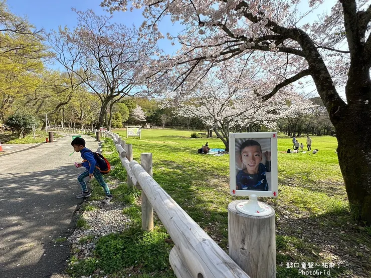 日本遊戲場的鋪面綠草如茵， 真正自然又友善的美～