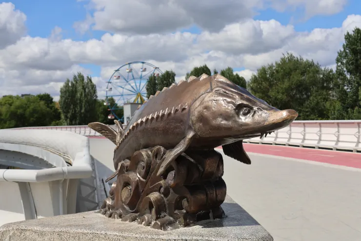 鼻子被摸到發亮的鱘魚雕像