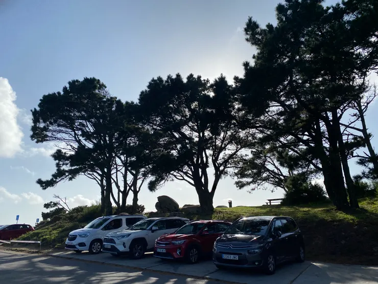 喜歡日暮時分的光線