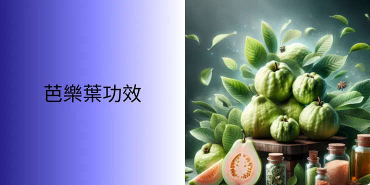 芭樂葉功效，取自番新聞