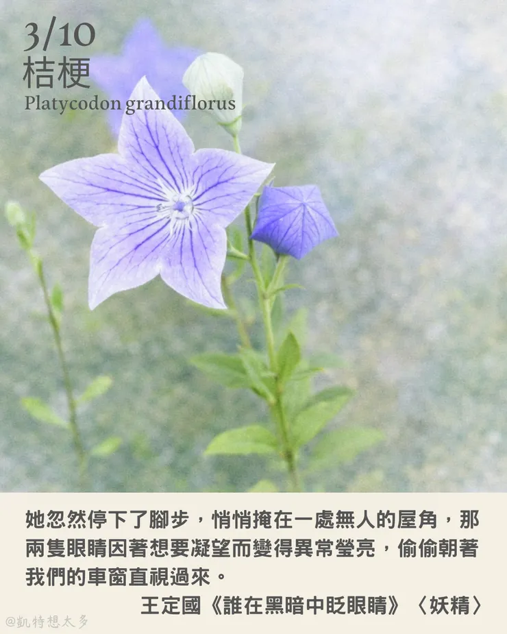 3 月 10 日｜桔梗×王定國《誰在黑暗中眨眼睛》〈妖精〉