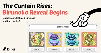 Birunoko 解盲現正開放！