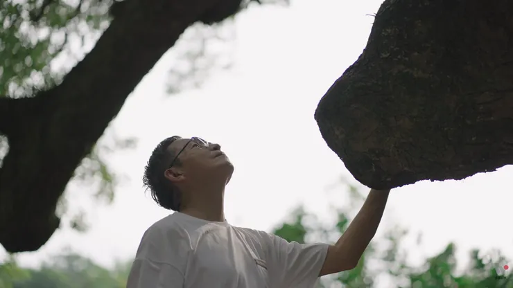 楊錦聰《心的凝望》MV截圖