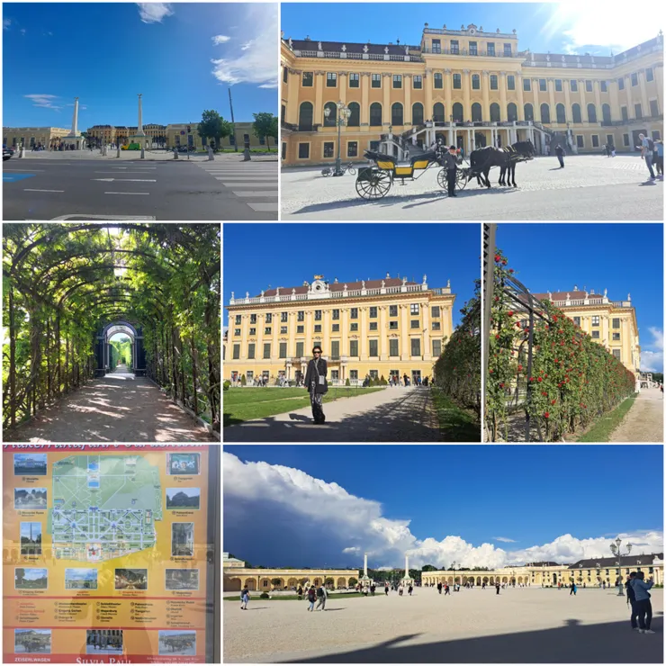 可以坐馬車遊園很酷...超大花園...今天又是爆走的一天