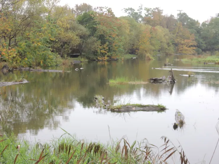 羅東林業文化園區