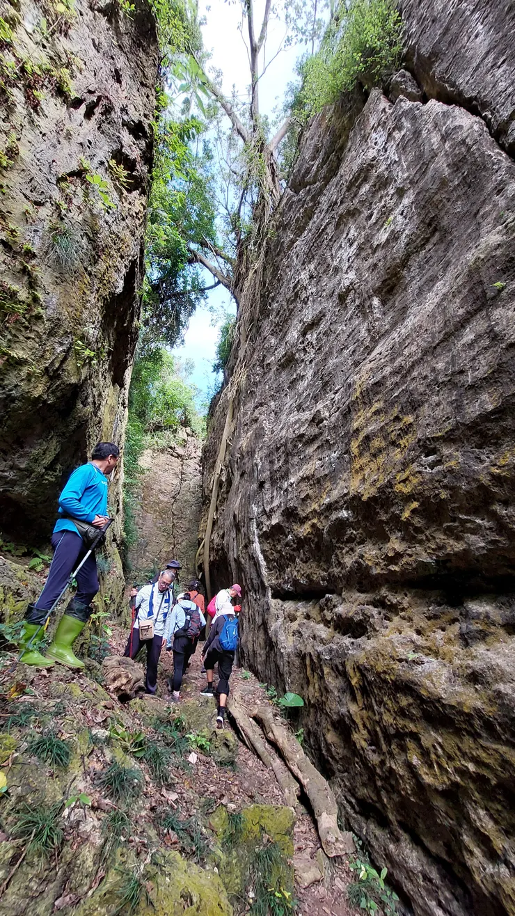 一線天山頂，一條根垂直而下