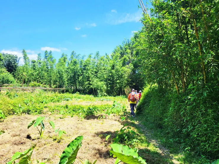 於101巷5弄34號民宅前進入菜園