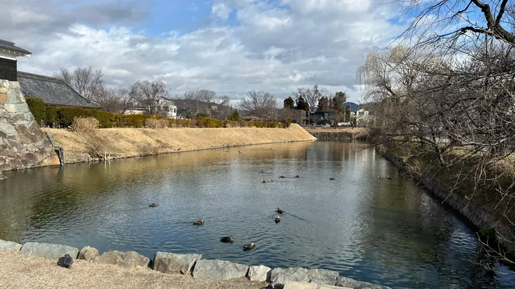 河有種特別寬的感覺。