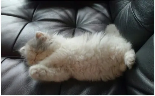 拍攝於2014年,家姐約4個月大