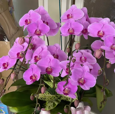  ❤️保險資訊愛分享❤️