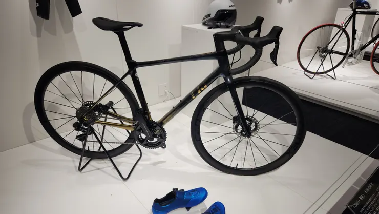 Giant送給我們公司100週年生日的特別塗裝車。 Liv Langma