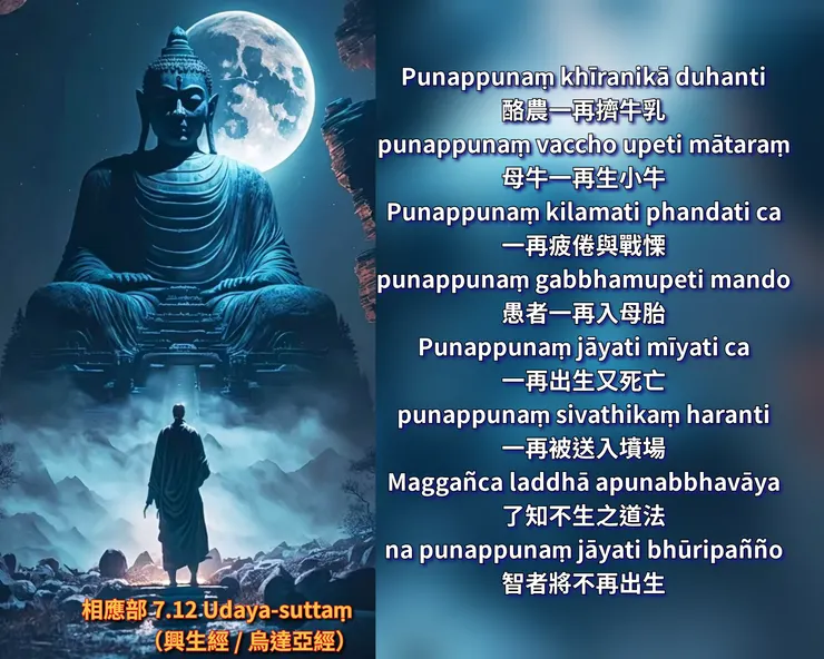 佛陀法語 | 關於輪迴