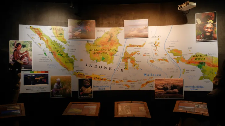 先經過印尼叢林區