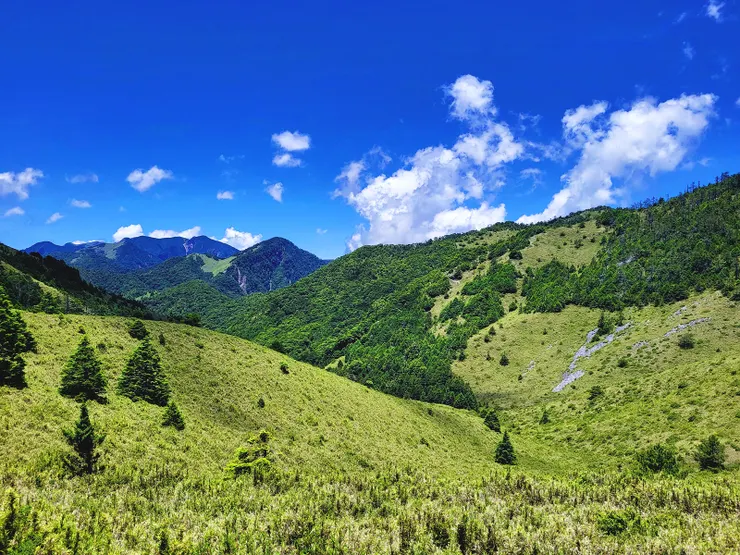 ▲綠草如茵的博可爾大草原，搭配藍天白雲，真的像是一幅畫般美麗動人。