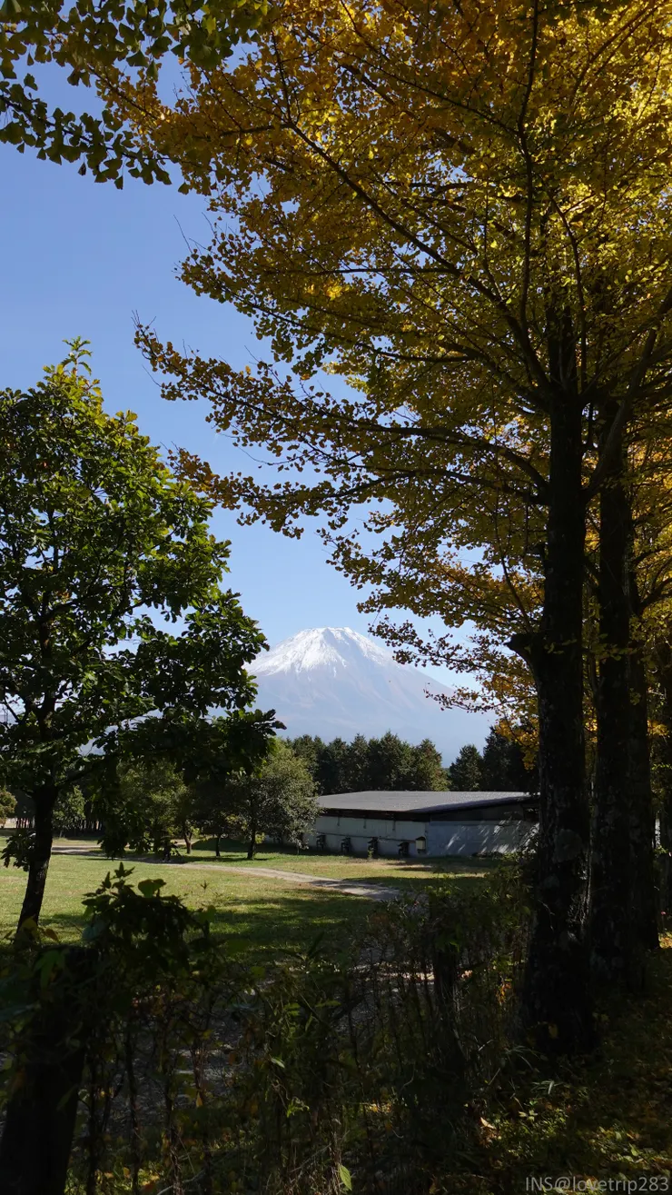 沿途跟富士山說掰掰