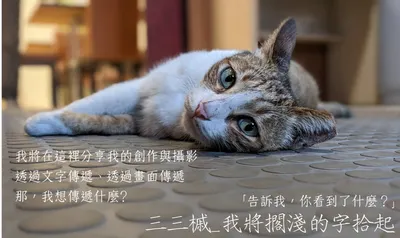 三三槭_將擱淺的字拾起