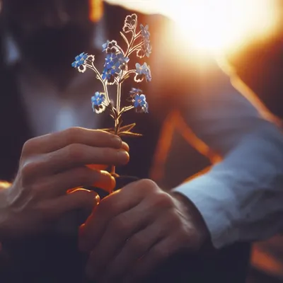 斷橋殘月派唯一傳人