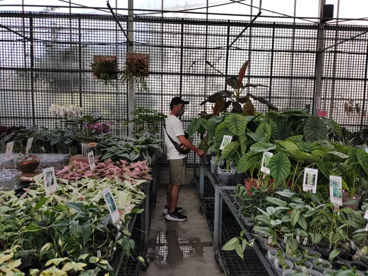 美琪蘭園一隅(111.9.24)