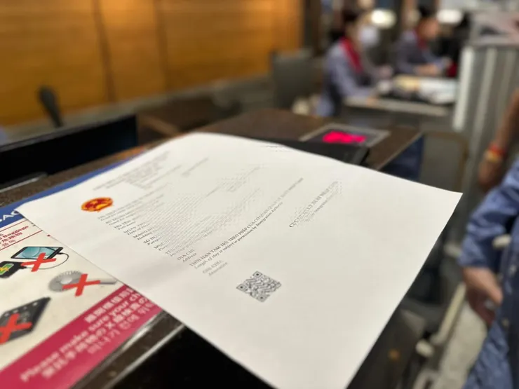 越南電子簽證列印範例