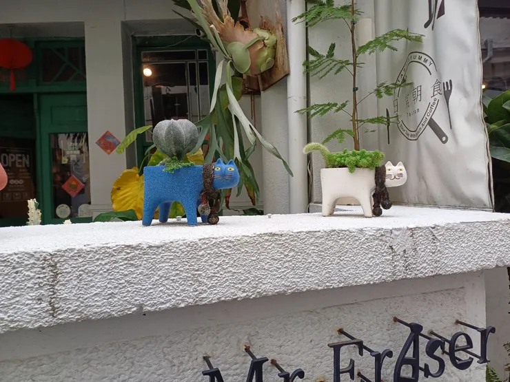 圍牆上的貓咪花盆很有特色,不只不同顏色,還種著不同植栽。