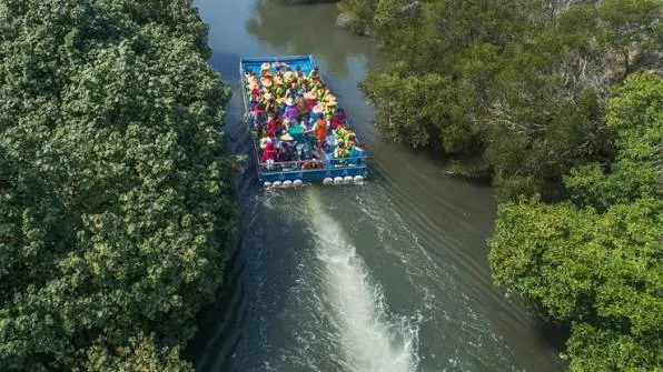 四草綠色隧道（圖片截圖於網路）
