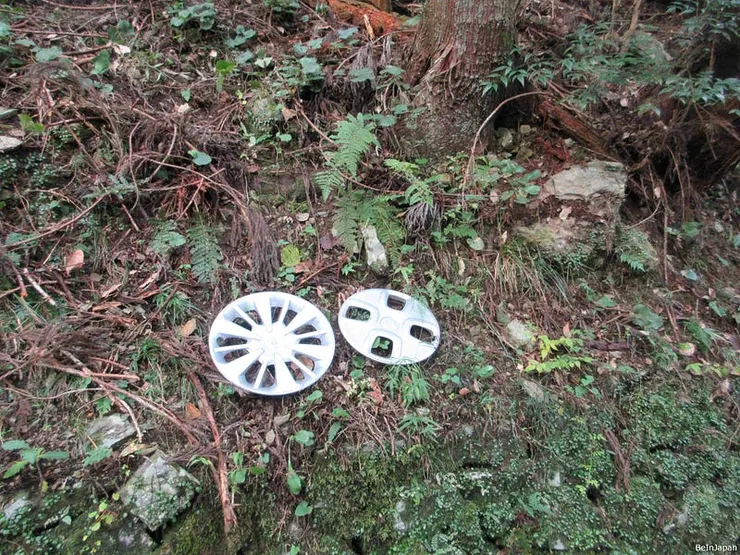 在山壁邊出現的兩塊輪胎殼...