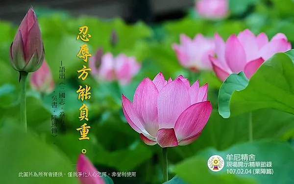 20180303_180321_0014