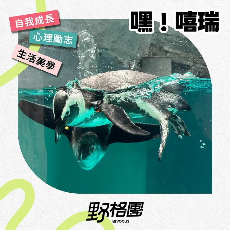 嘿！嘻瑞的沙龍