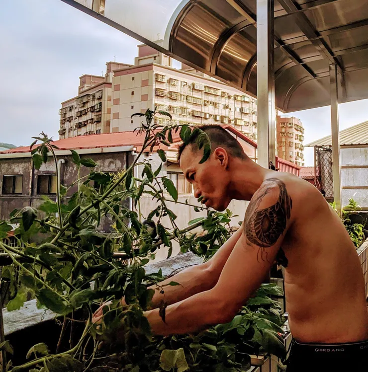 vocus|新世代的創作平台