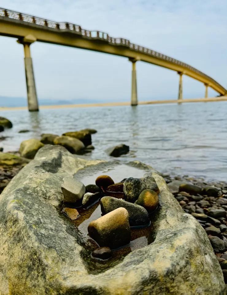 天然的裝置藝術與高架橋