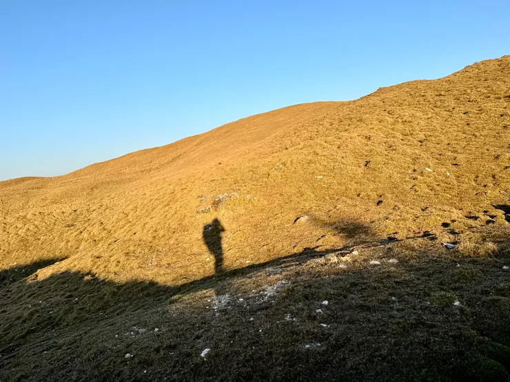 晨曦中的身影。