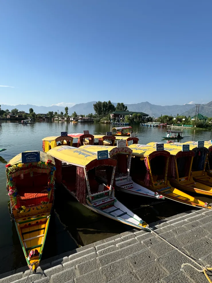 游達爾湖的小船們