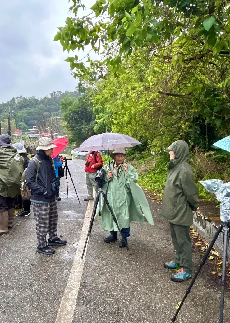 圖03 候鳥的腦中有一張磁場地圖