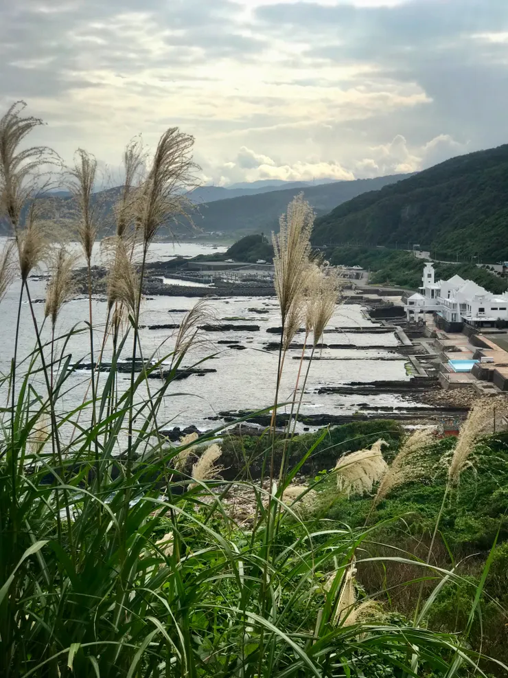 步道口回望南側海灣的「四季灣」鯨魚廣場