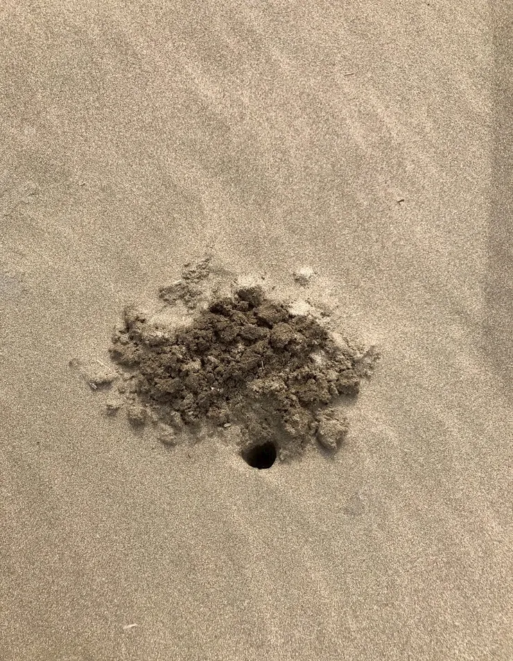 什麼洞呢，研究看看！