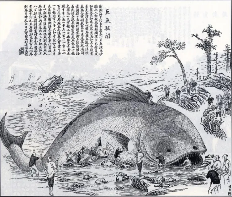 明清時代對於體型的的鯨魚稱之為大魚