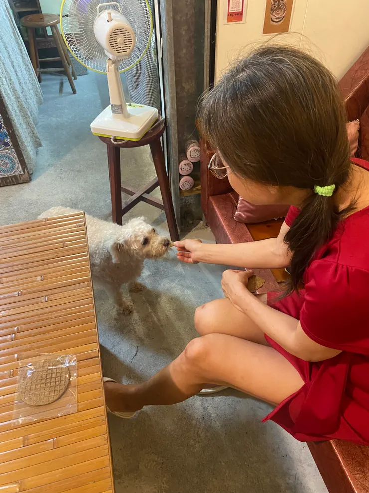 可愛的亮亮吃餅乾
