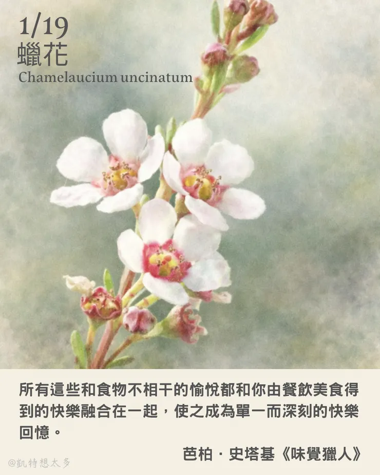 《一日一花・一句》｜1 月 19 日｜蠟花×芭柏．史塔基《味覺獵人》