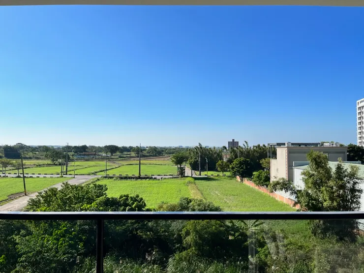 田地一片綠油油。