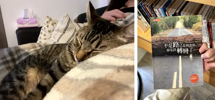 右邊的書好像在提醒我該轉彎了（左邊的五月花好搶眼