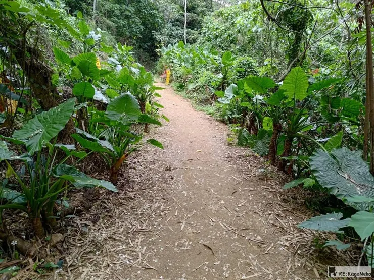 健行步道
