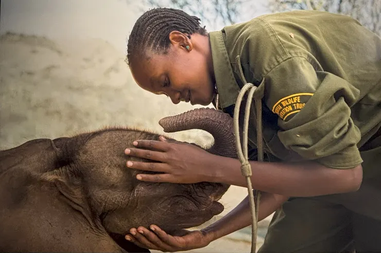 <肯亞 納穆尼亞克野生動物保護信託基金 2016>   攝於國家地理女性經典影像展