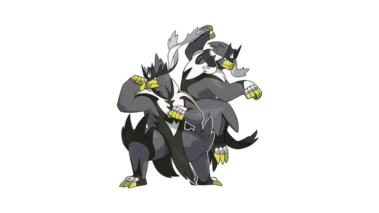 武道熊師一擊流與連擊流