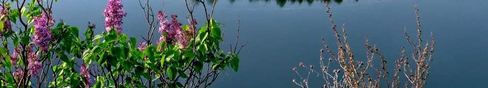 談天說地、講古論道的沙龍