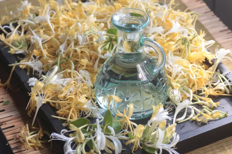 早在清代,金銀花就被蒸成藥露,醫書記載有清熱、消暑、解毒、開胃的作用,兌水飲用,可用於暑熱煩渴,咽喉腫痛,以及小兒胎毒、熱瘡、痱子等症。