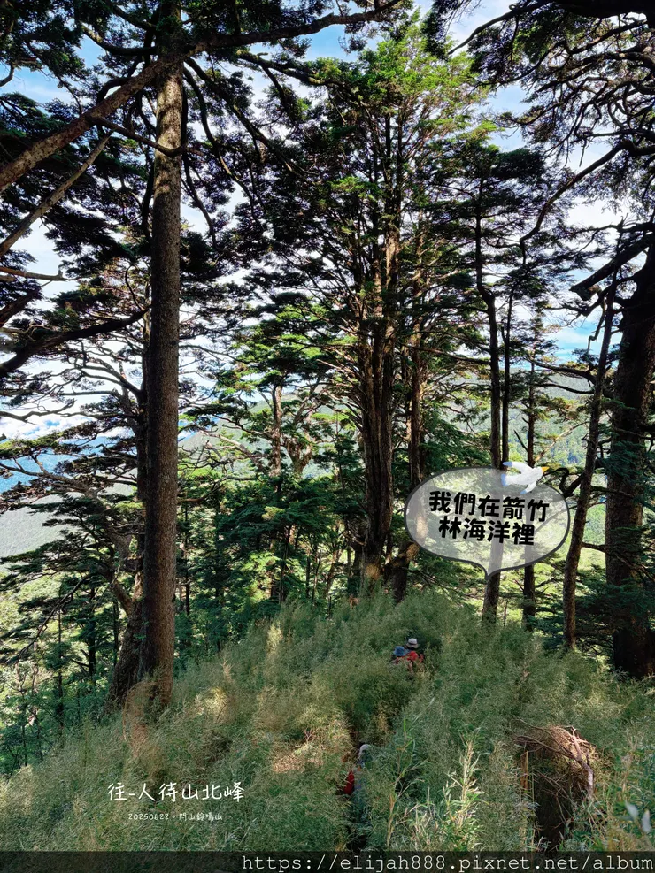 【閂山鈴鳴。兩日50公里百岳行】海拔3272公尺 鈴鳴山-