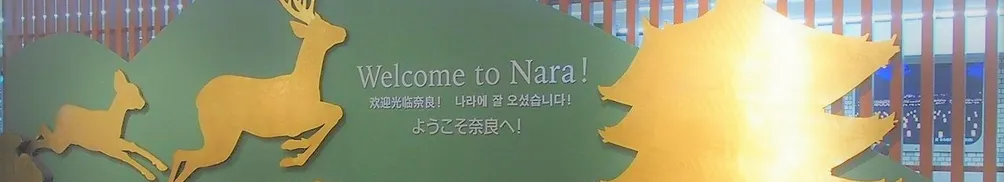 黛安的簡單生活，以及閱讀的沙龍