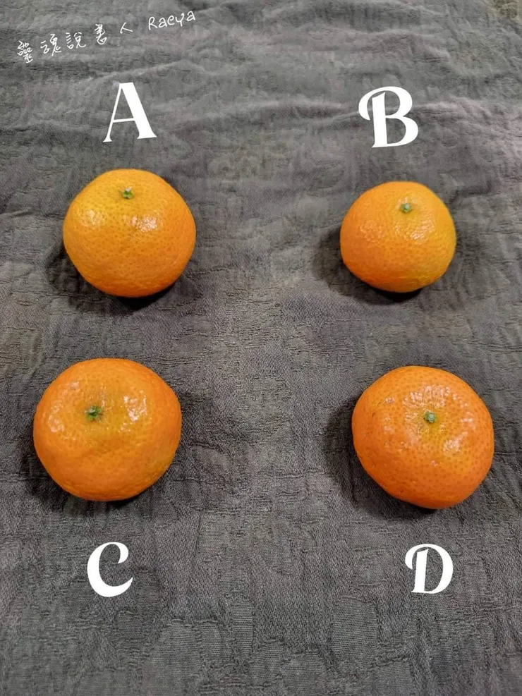 2024年新年新希望